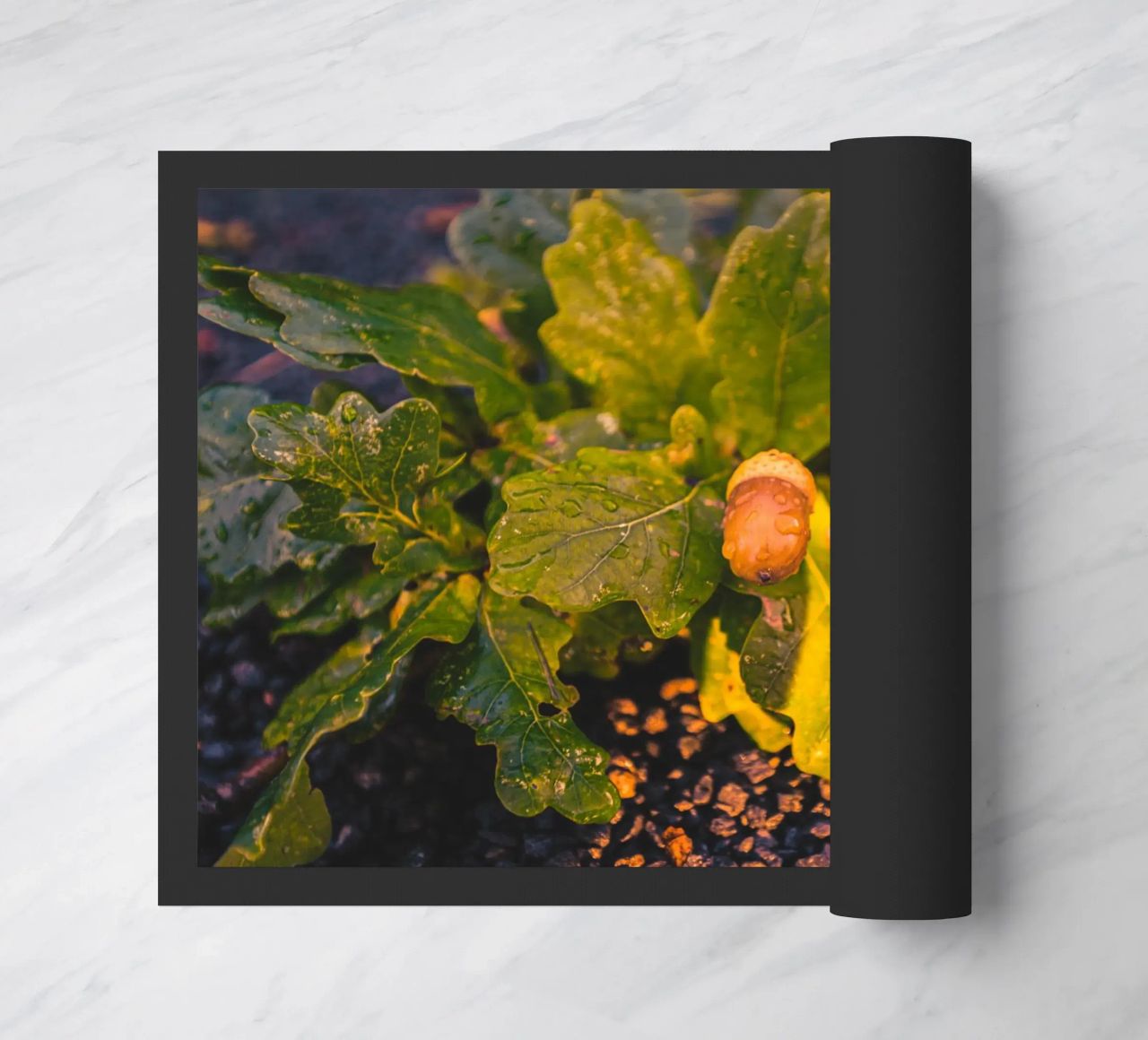 Una ghianda con una goccia d'acqua zerbino da Marcus Beckert | Fotografie