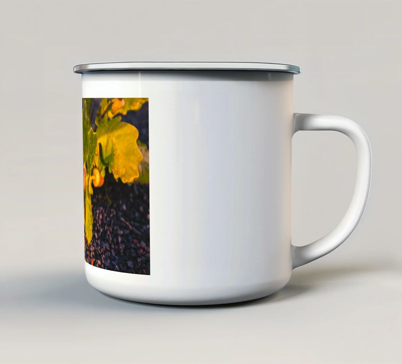Una ghianda con una goccia d'acqua tazza in smalto da Marcus Beckert | Fotografie