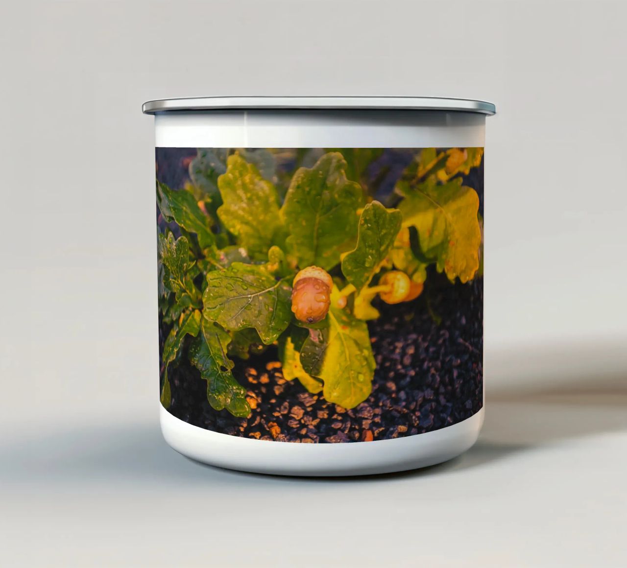 Una ghianda con una goccia d'acqua tazza in smalto da Marcus Beckert | Fotografie