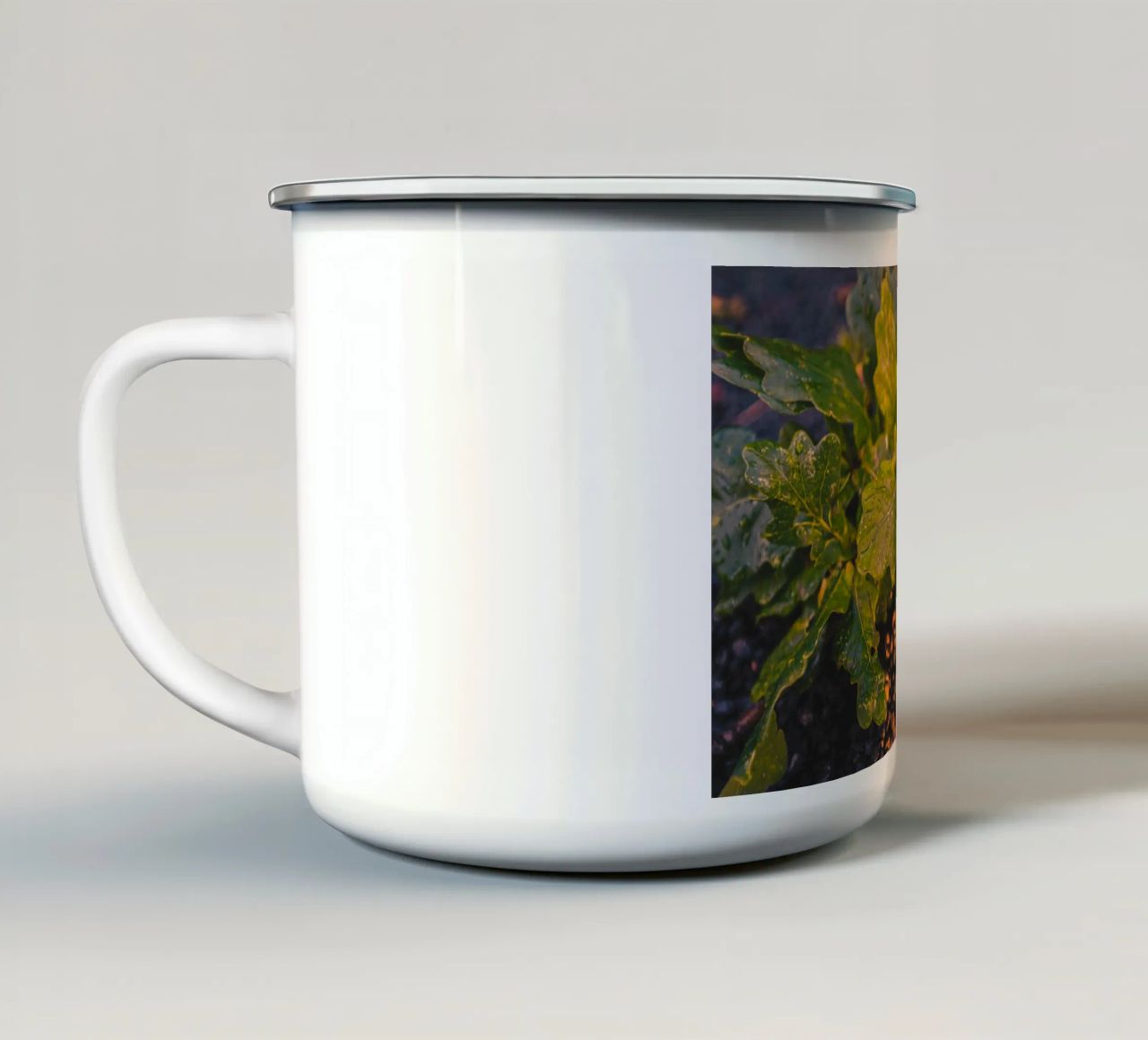 Una ghianda con una goccia d'acqua tazza in smalto da Marcus Beckert | Fotografie