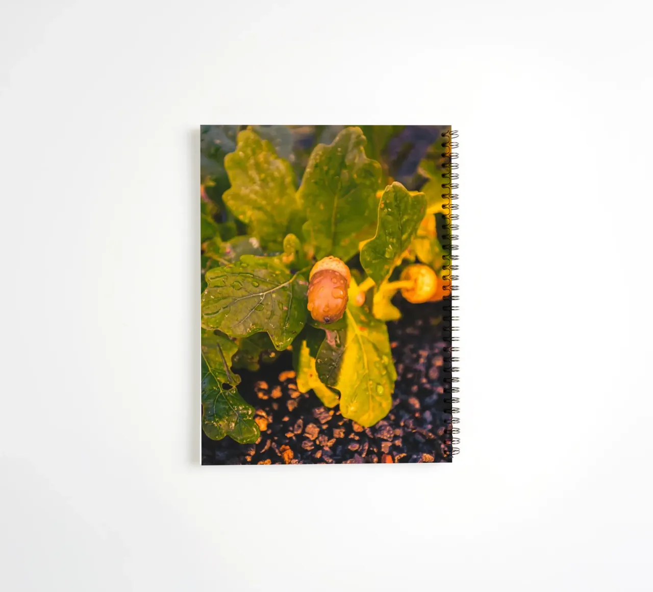 An acorn with a drop of water spiral notebook by Marcus Beckert | Fotografie