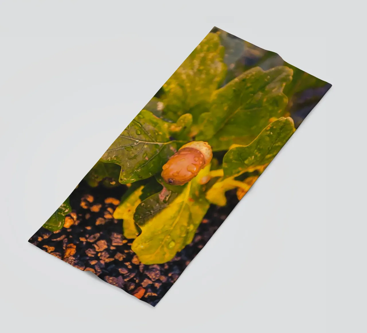 An acorn with a drop of water beach towel by Marcus Beckert | Fotografie