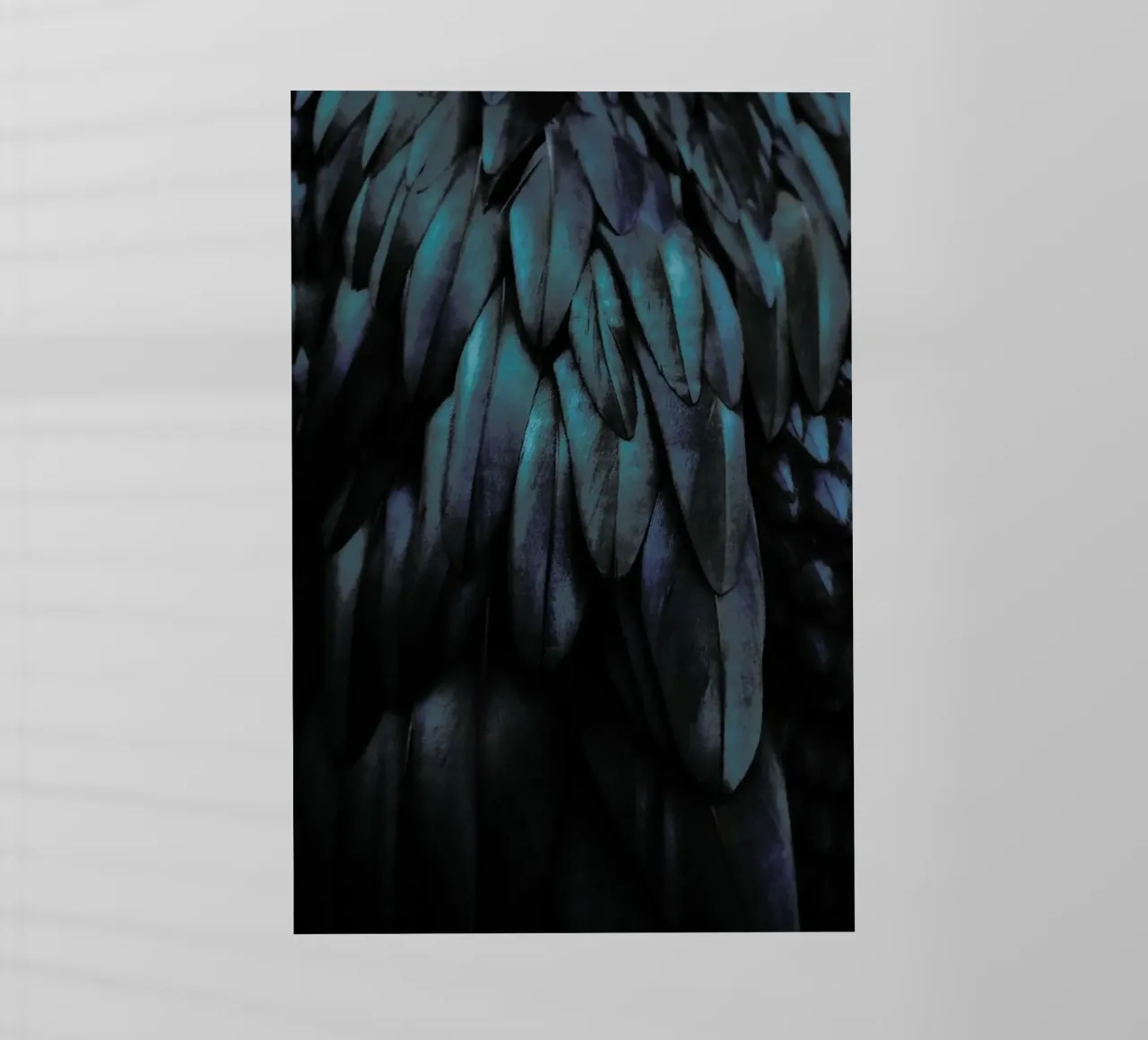 Dark Feathers pellicola backlit da Monika Strigel