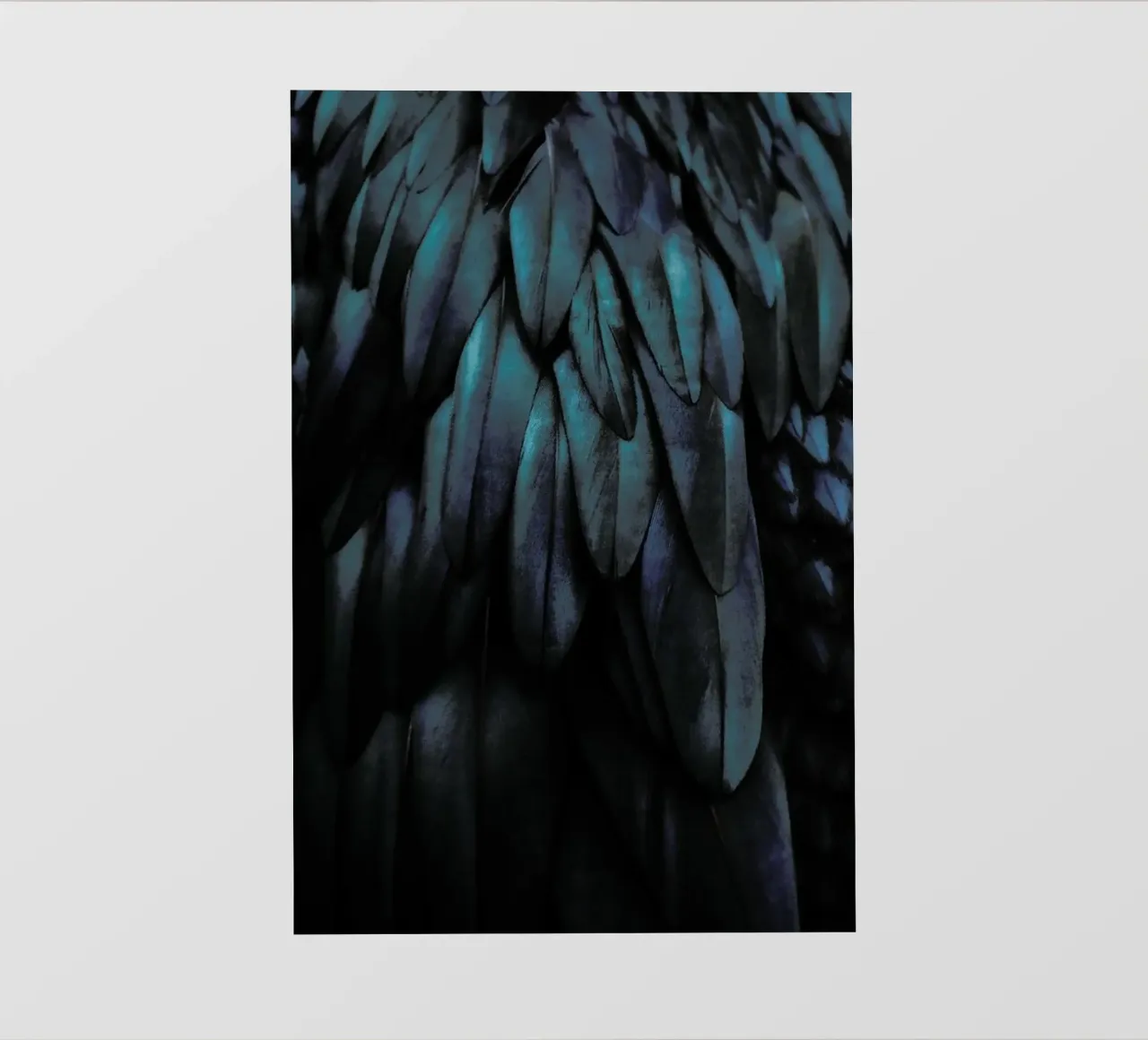 Dark Feathers pellicola backlit da Monika Strigel