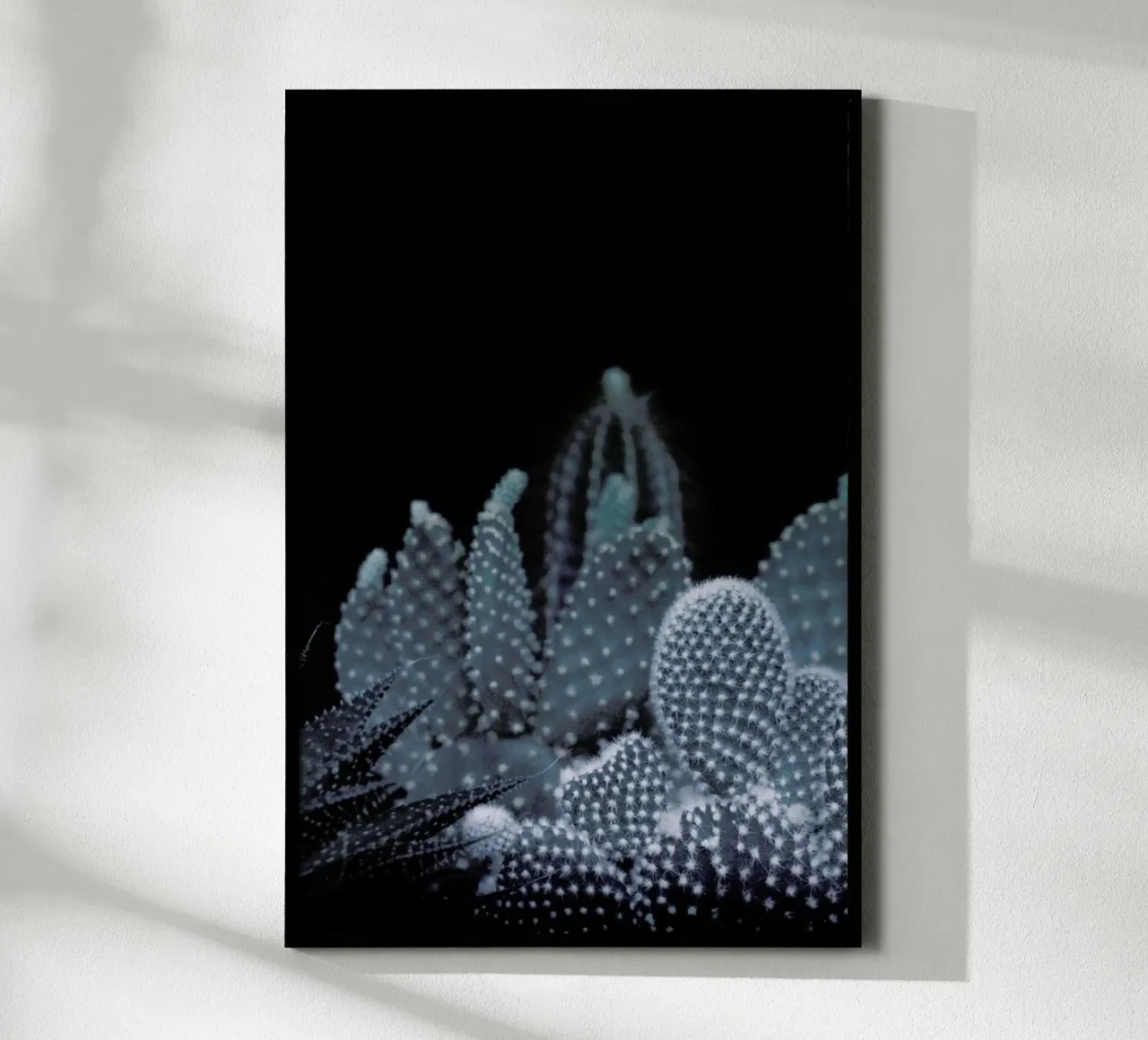 Plantes sombres 1 Cacti poster de Monika Strigel