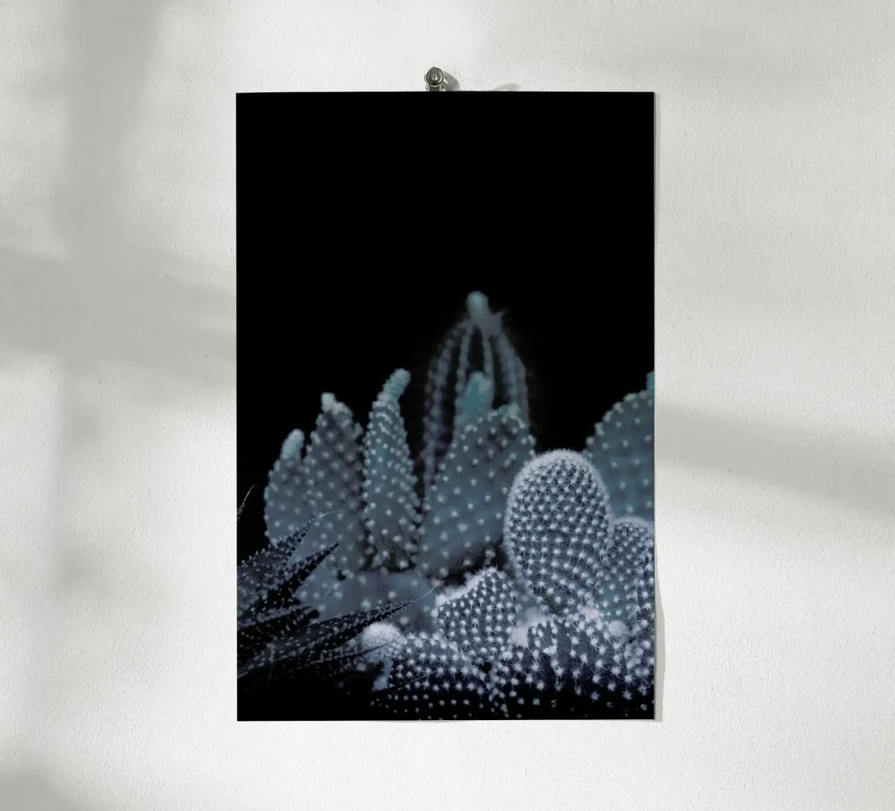 Plantes sombres 1 Cacti poster de Monika Strigel