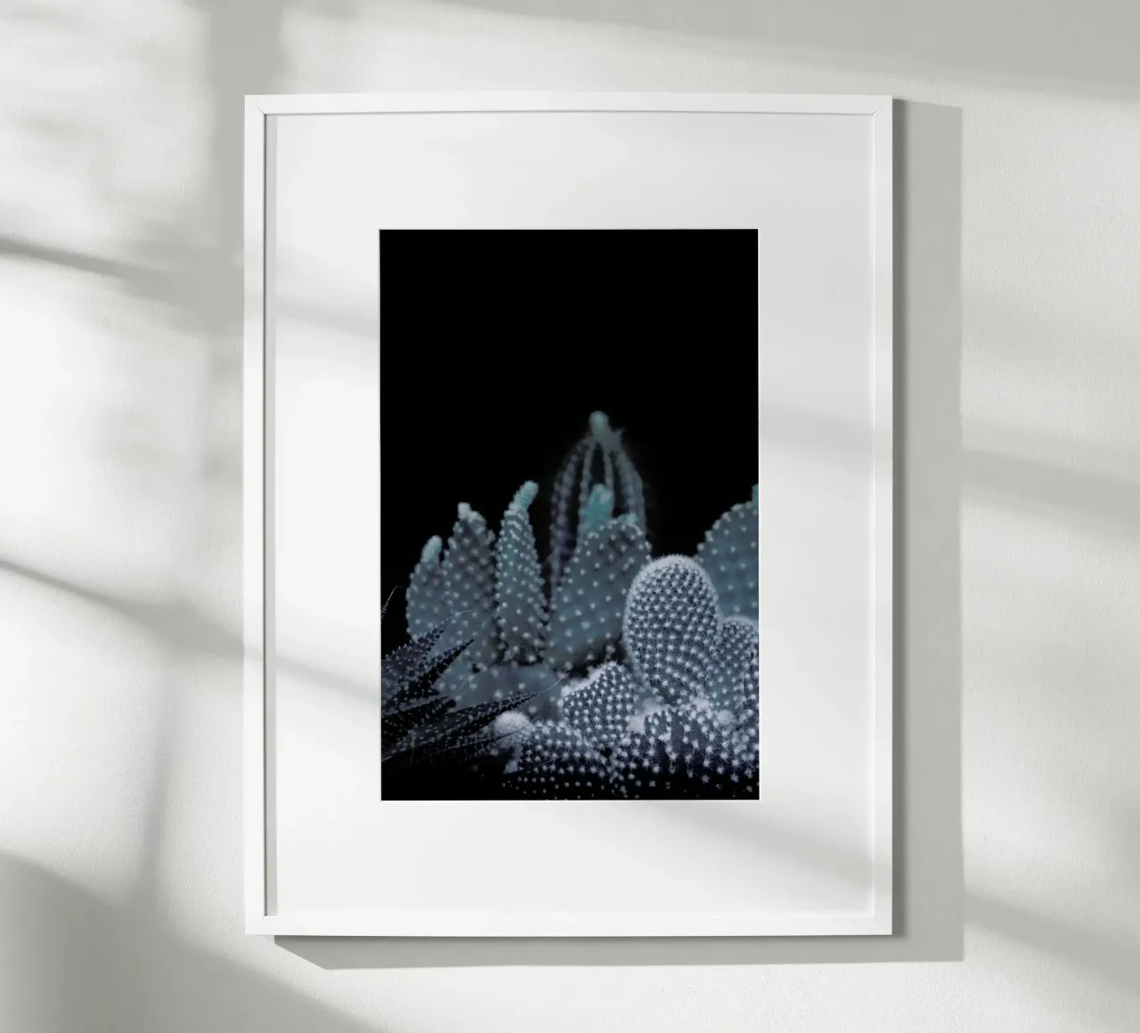 Plantes sombres 1 Cacti poster de Monika Strigel
