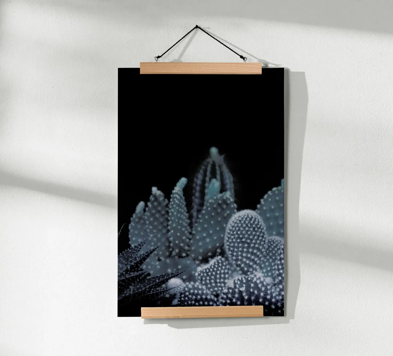 Plantes sombres 1 Cacti poster de Monika Strigel