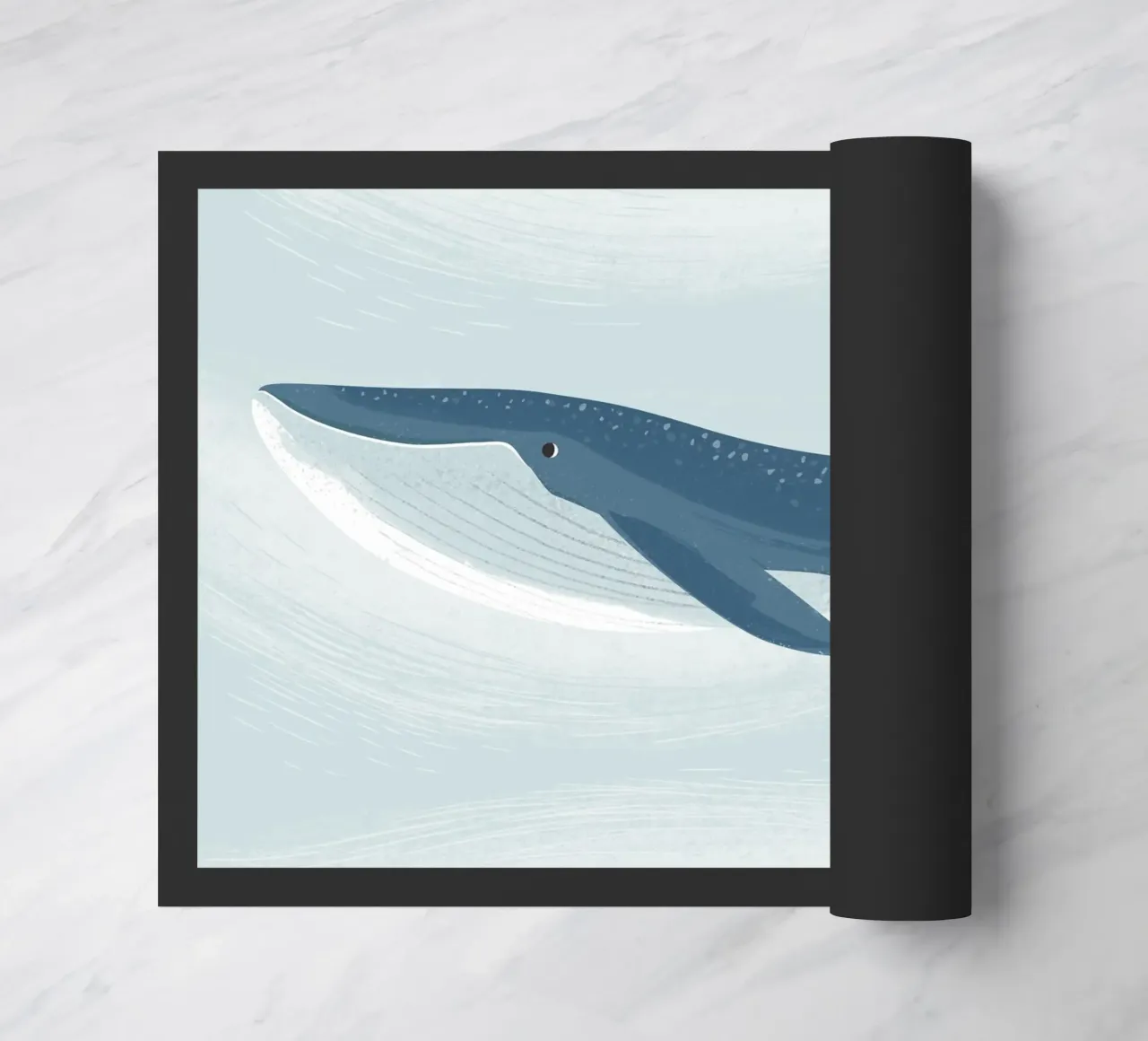 Blauwal zerbino da VIERUNDFÜNFZIG