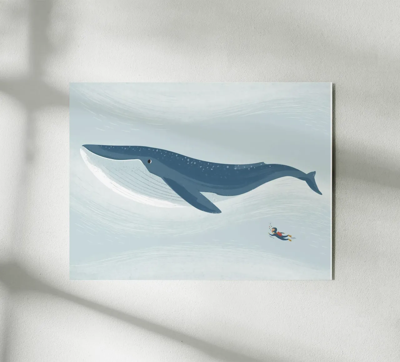 Blauwal plexiglass da VIERUNDFÜNFZIG