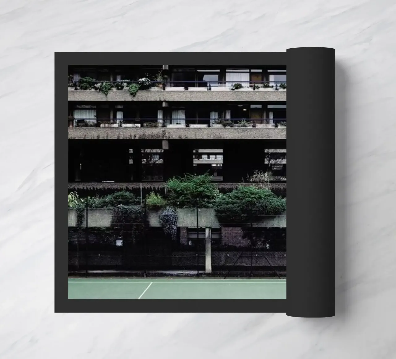 Backyards zerbino da Picture On The Fridge