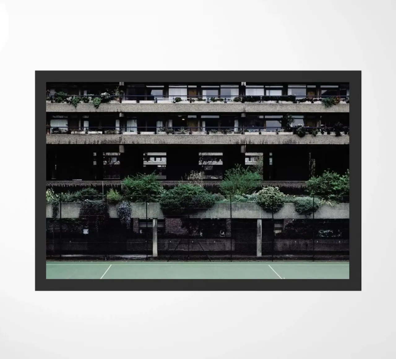 Backyards zerbino da Picture On The Fridge