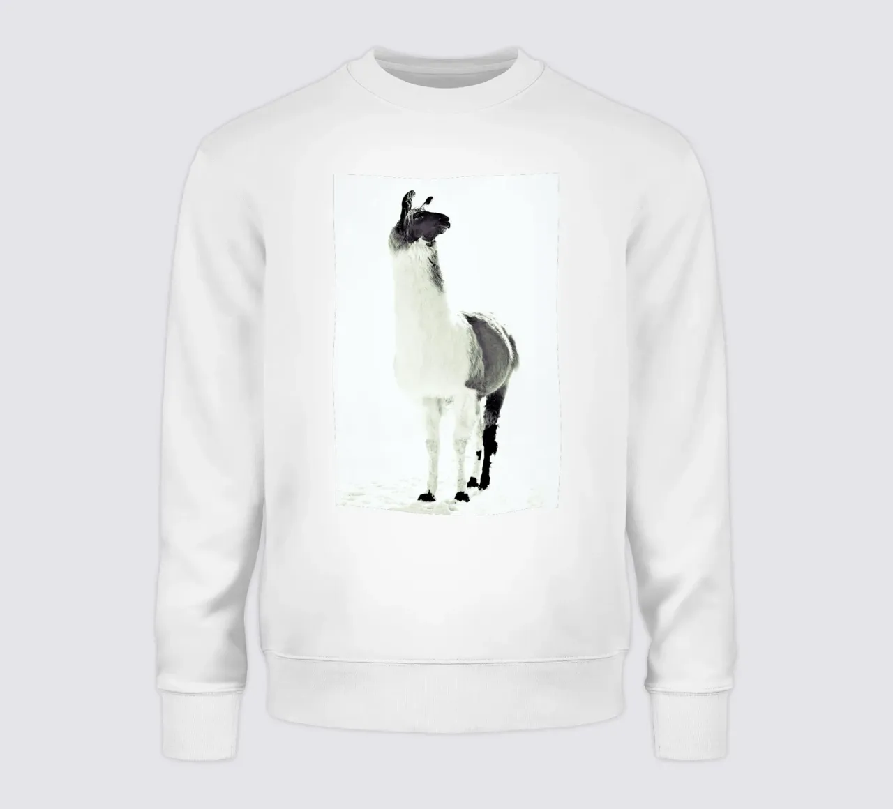 Lama soffice felpa da Monika Strigel