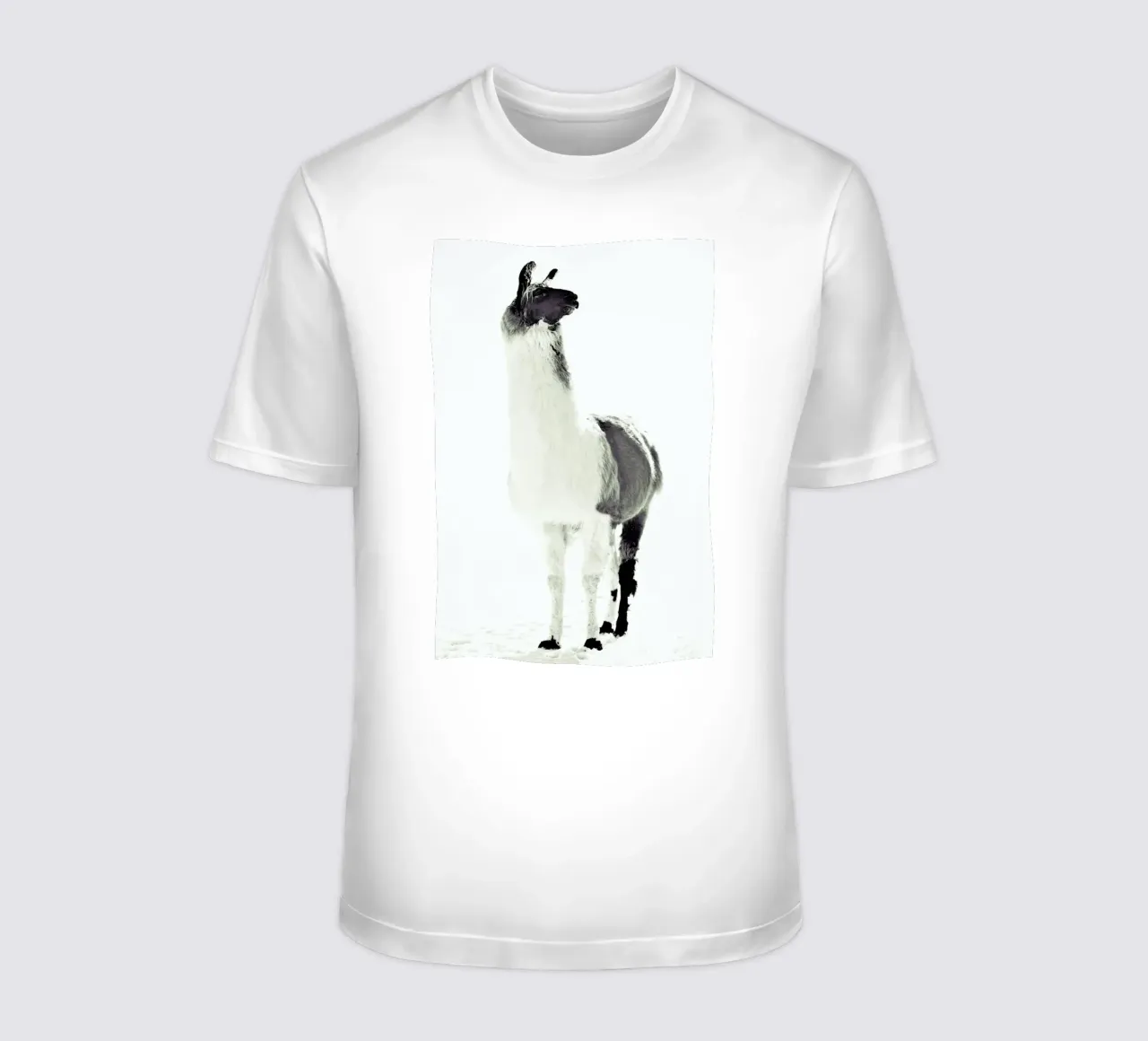Lama soffice t-shirt da Monika Strigel