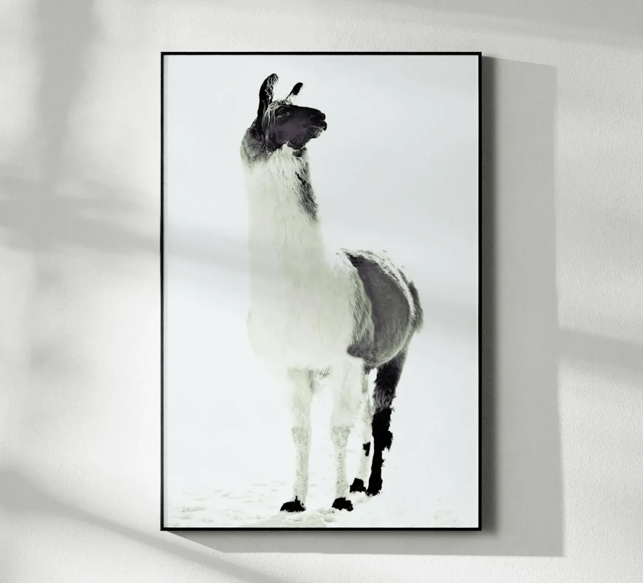 Lama soffice plexiglass da Monika Strigel