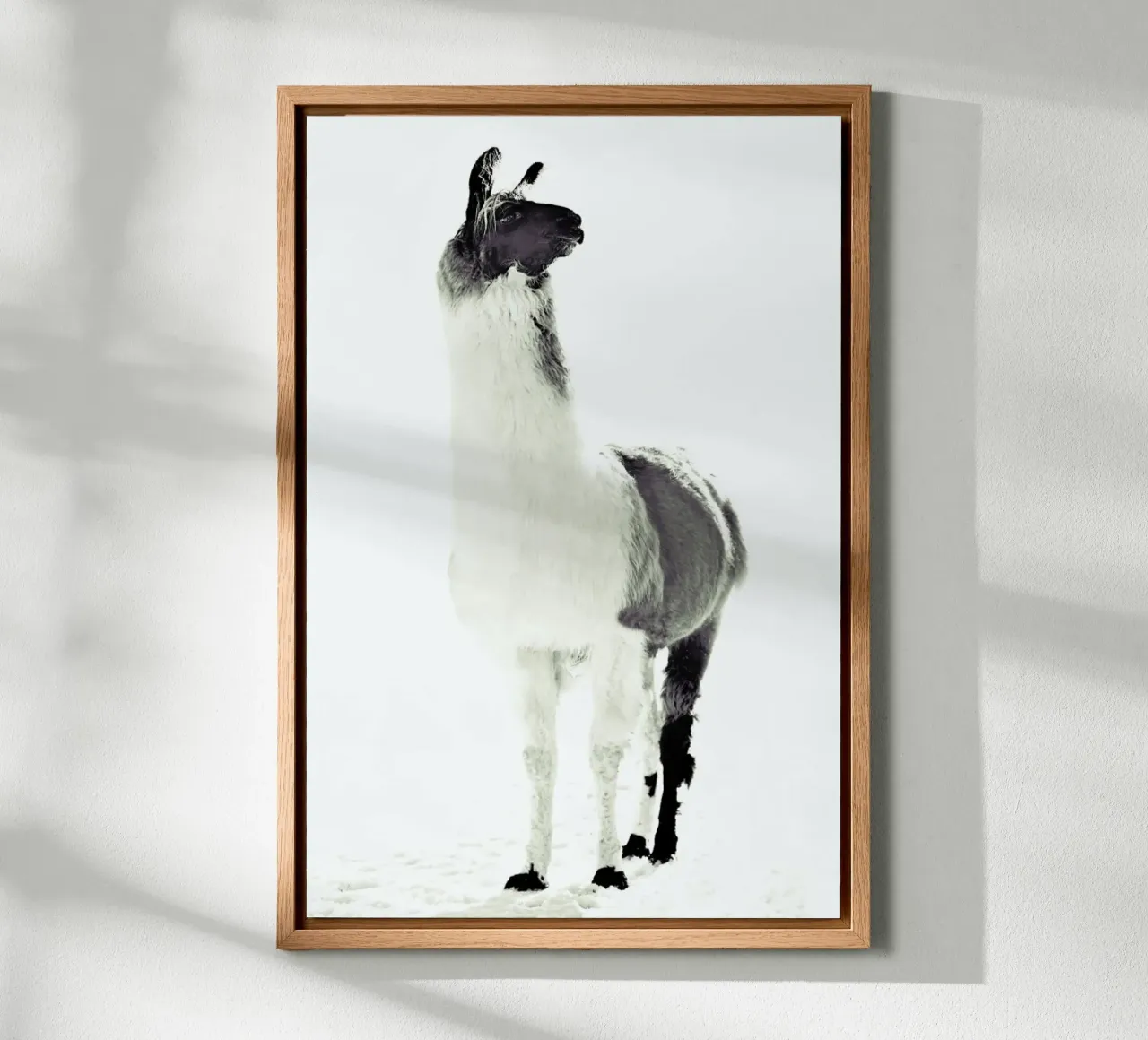 Lama soffice tela con Cornice a cassetta da Monika Strigel