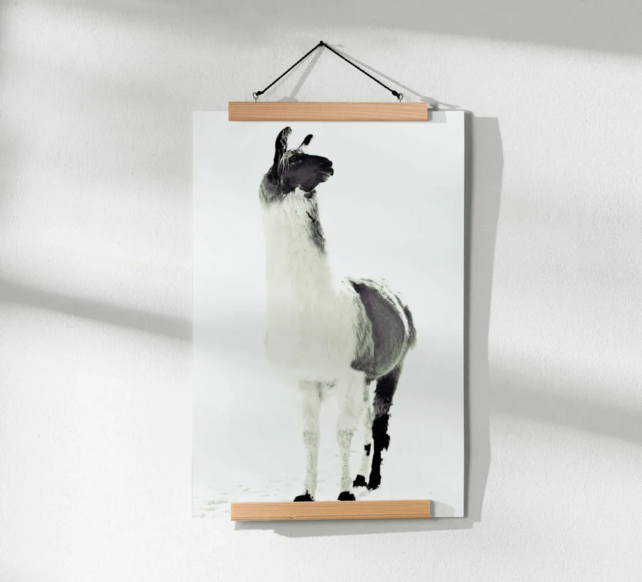 Lama soffice poster da Monika Strigel