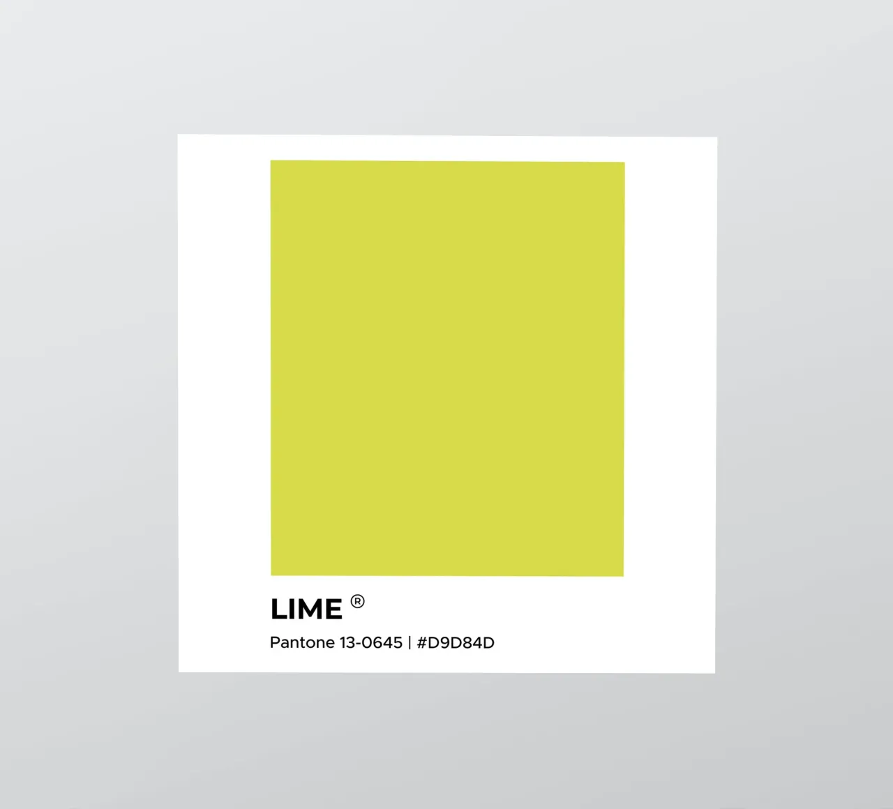 Limonengrün Pantone Sticker von Paigaam Studio