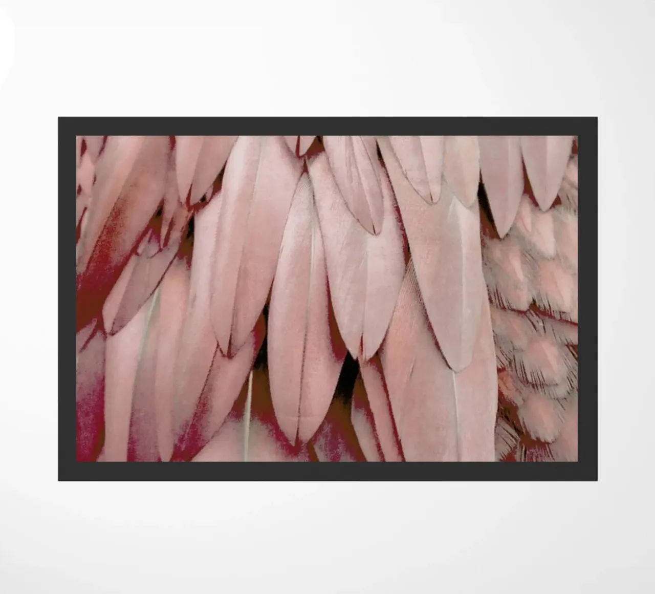 Pastel Feathers zerbino da Monika Strigel