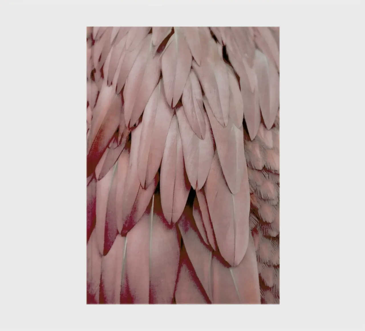 Pastel Feathers notebook by Monika Strigel