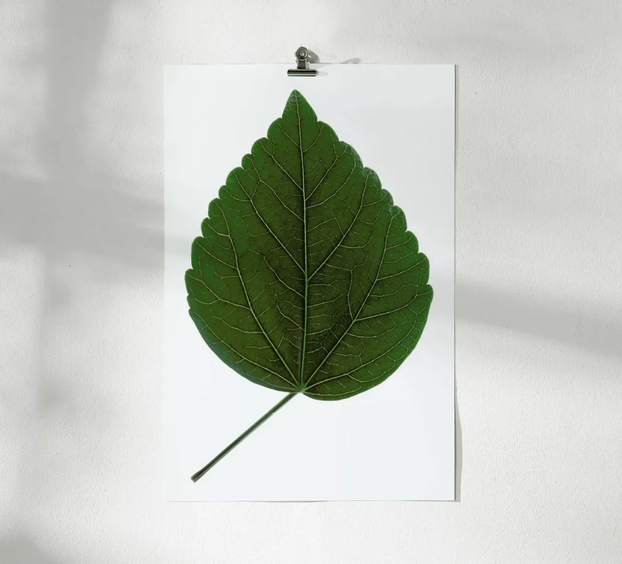 Look Closer Hibiscus carta hahnemühle da Studio Nahili