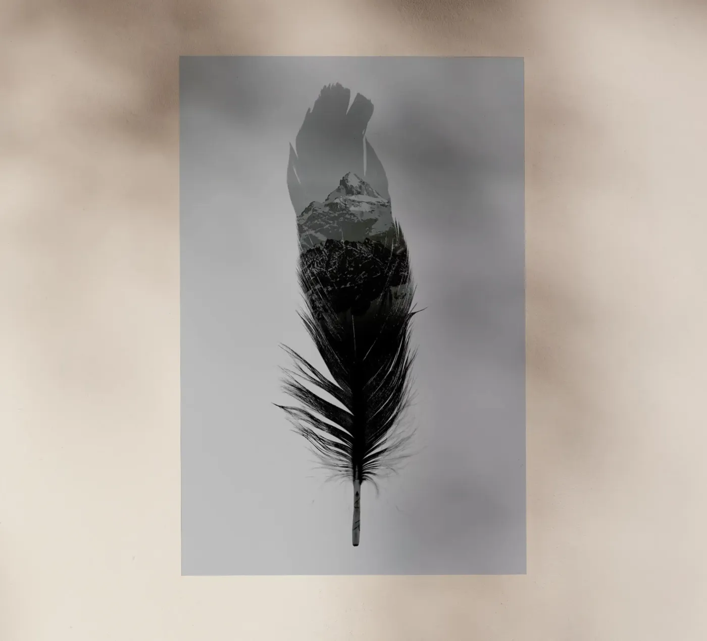 Feather pellicola backlit da Chris Wharton