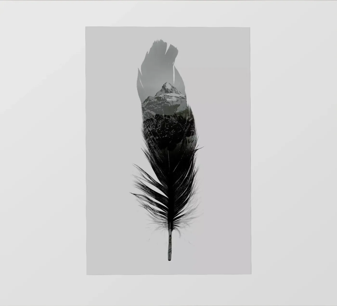 Feather pellicola backlit da Chris Wharton