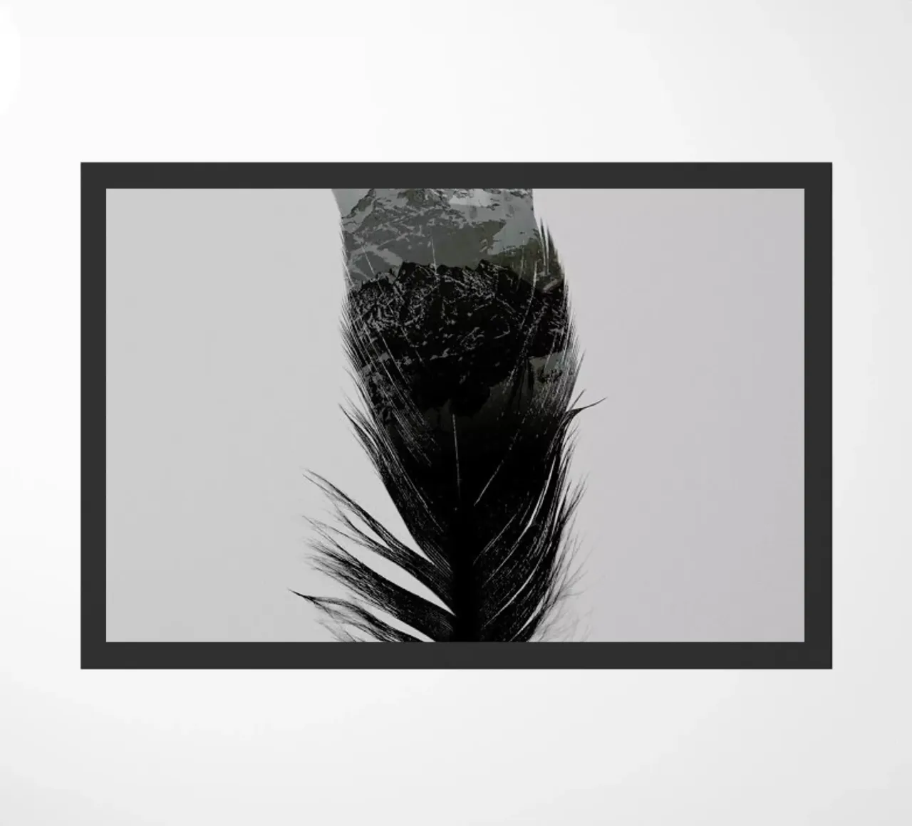 Feather zerbino da Chris Wharton