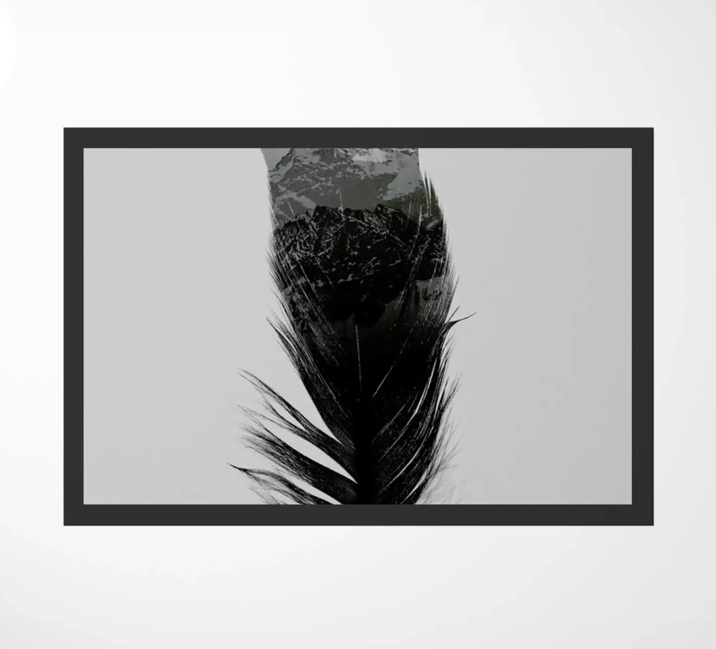 Feather zerbino da Chris Wharton