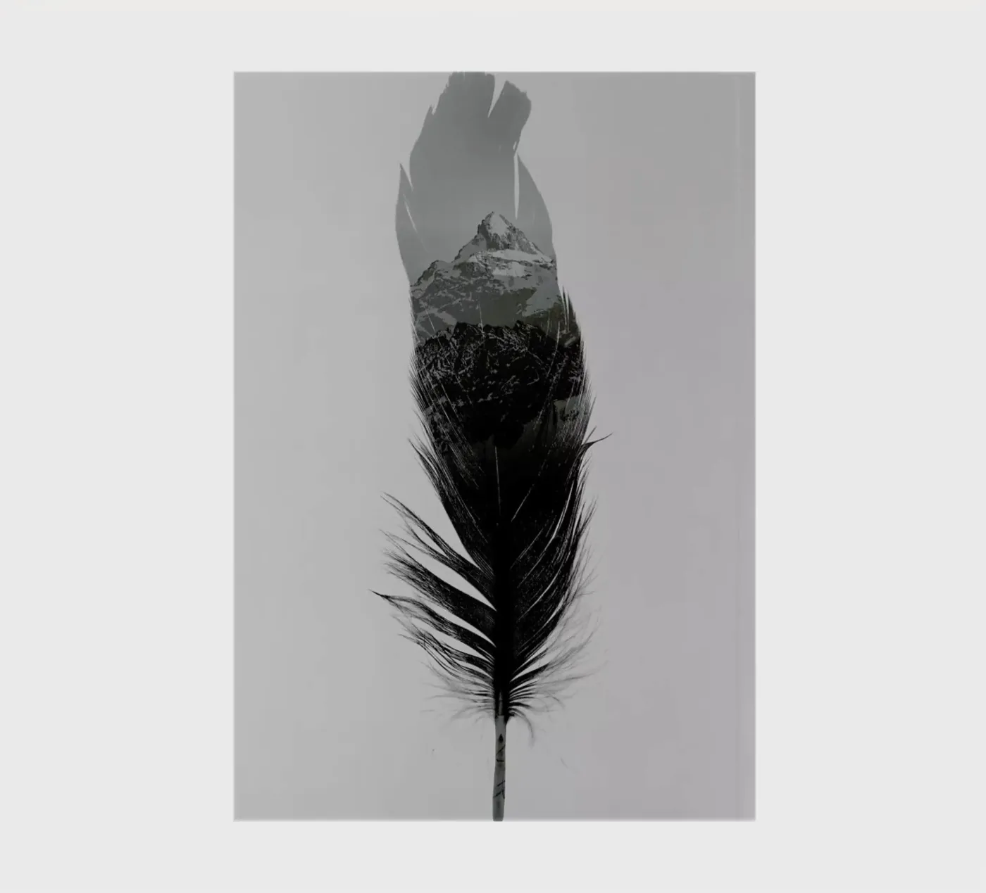 Feather notebook by Chris Wharton