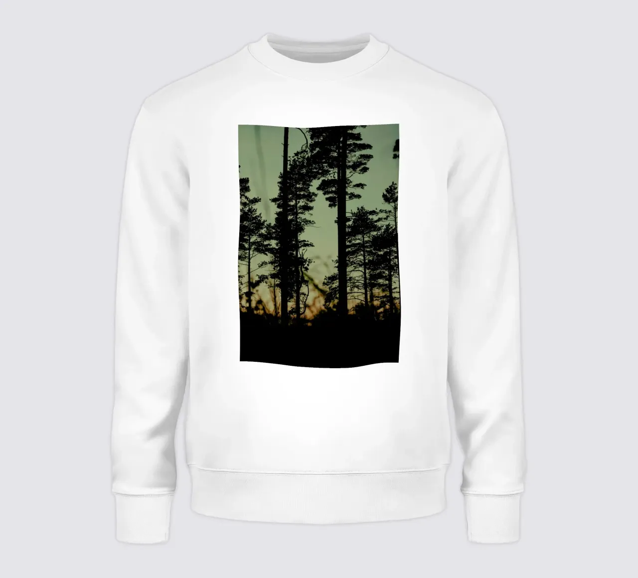 The Forest I felpa da Pale Grain