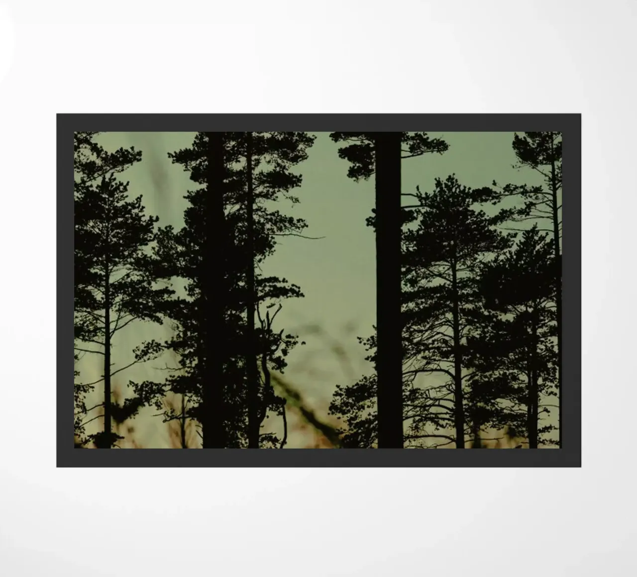 The Forest I zerbino da Pale Grain