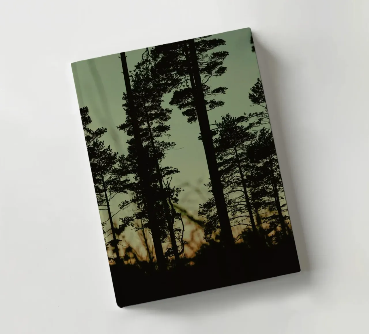 The Forest I notebook by Pale Grain