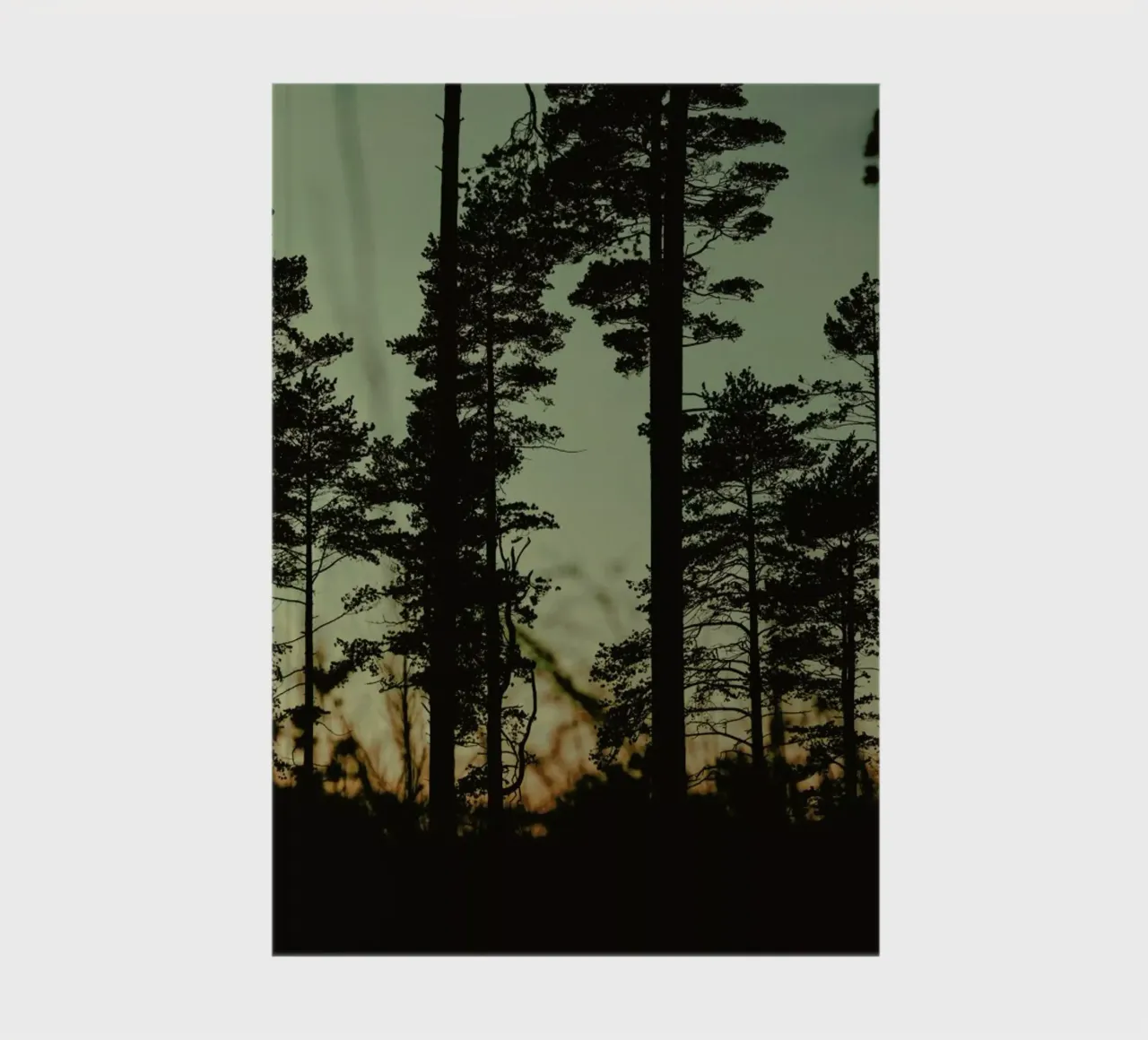 The Forest I notebook by Pale Grain