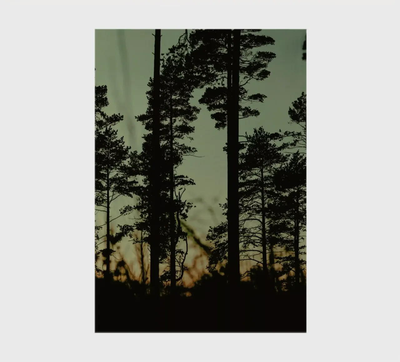 The Forest I notebook by Pale Grain