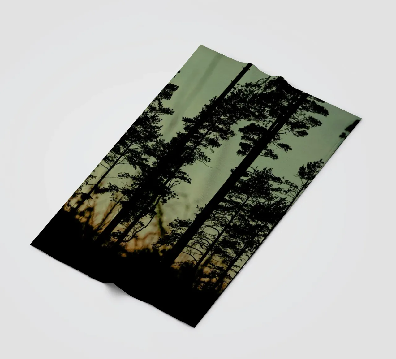 The Forest I coperta in pile da Pale Grain