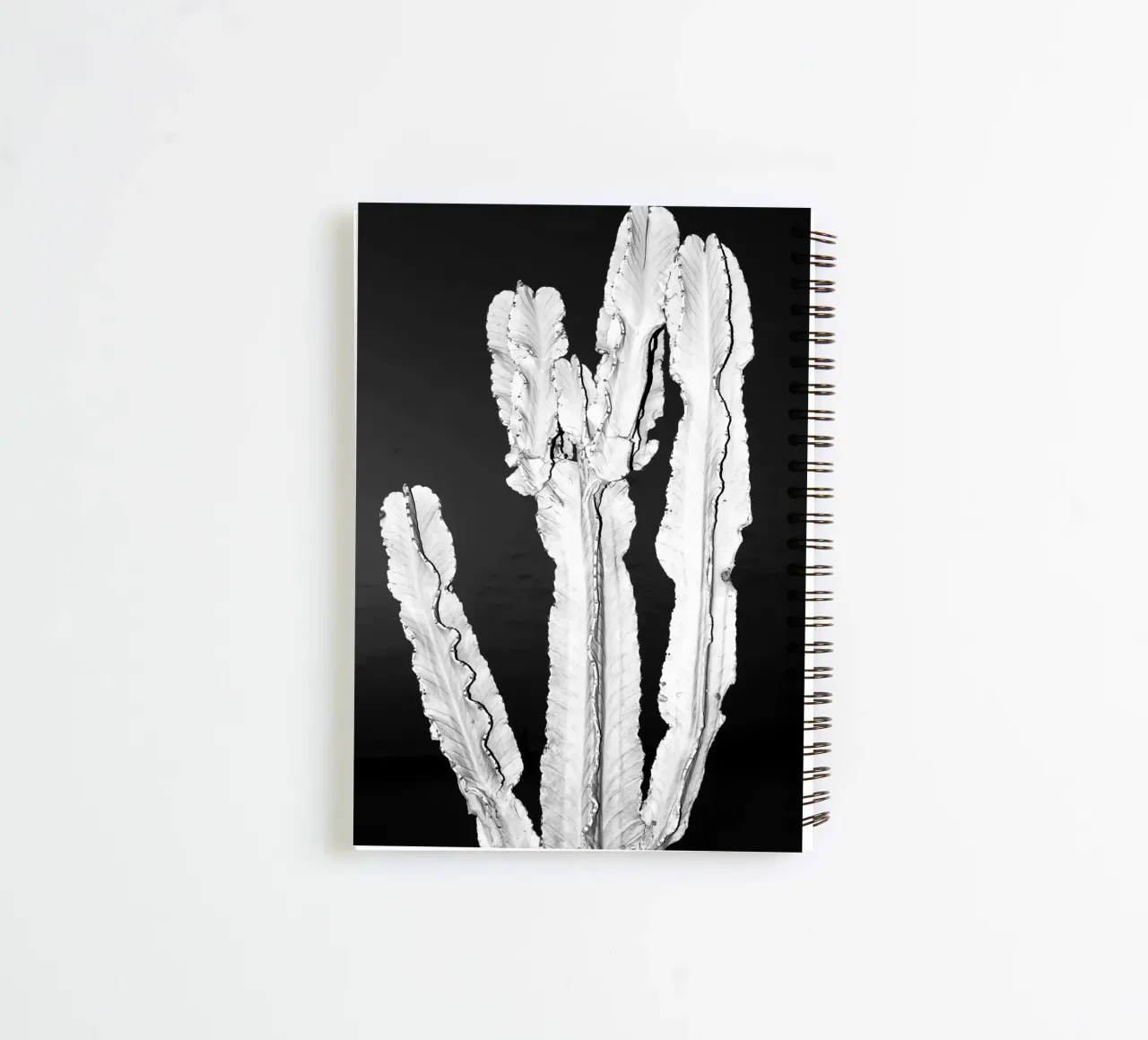 Cactus spiral notebook by rafael campezato