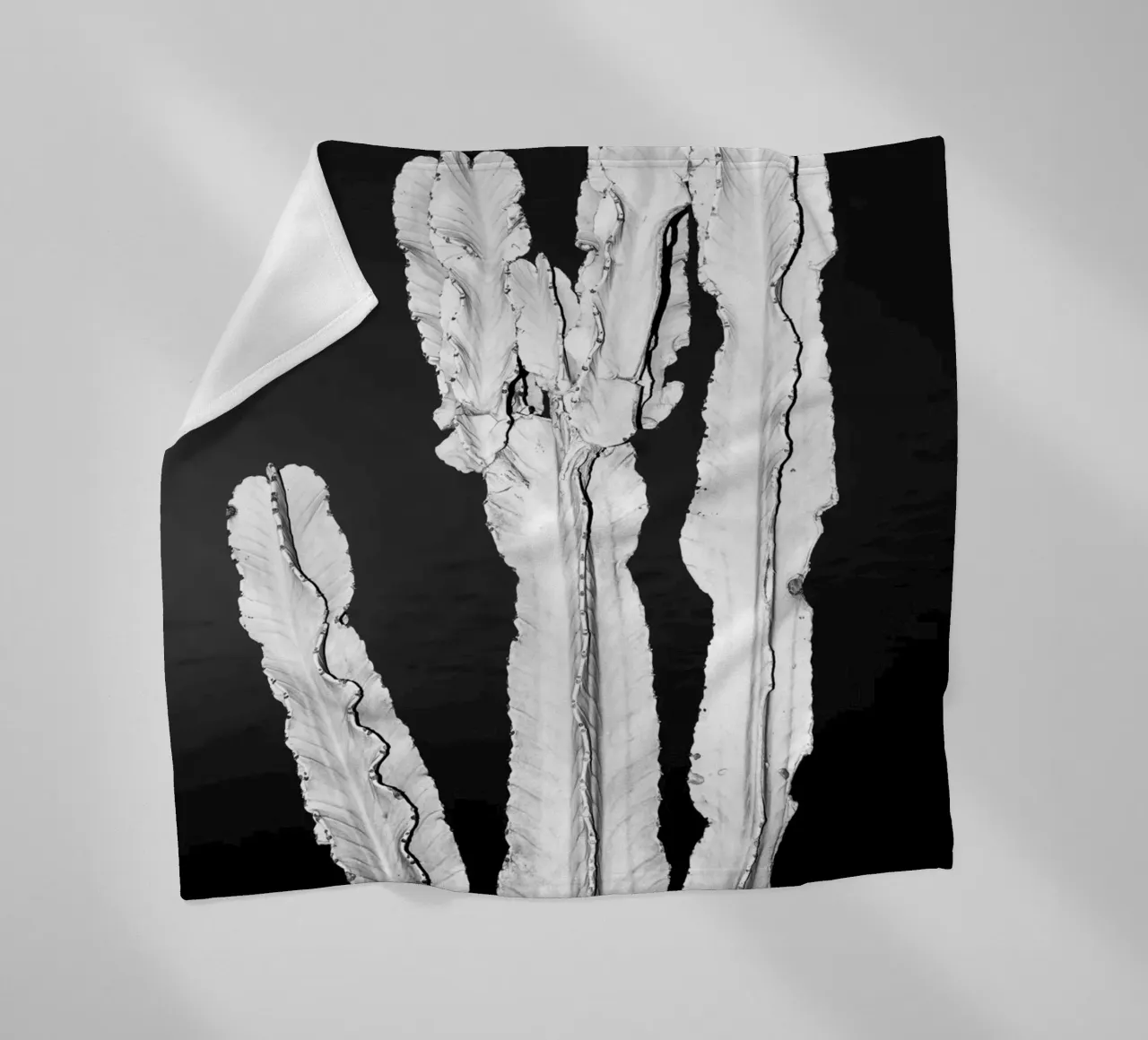 Cactus coperta in pile da rafael campezato