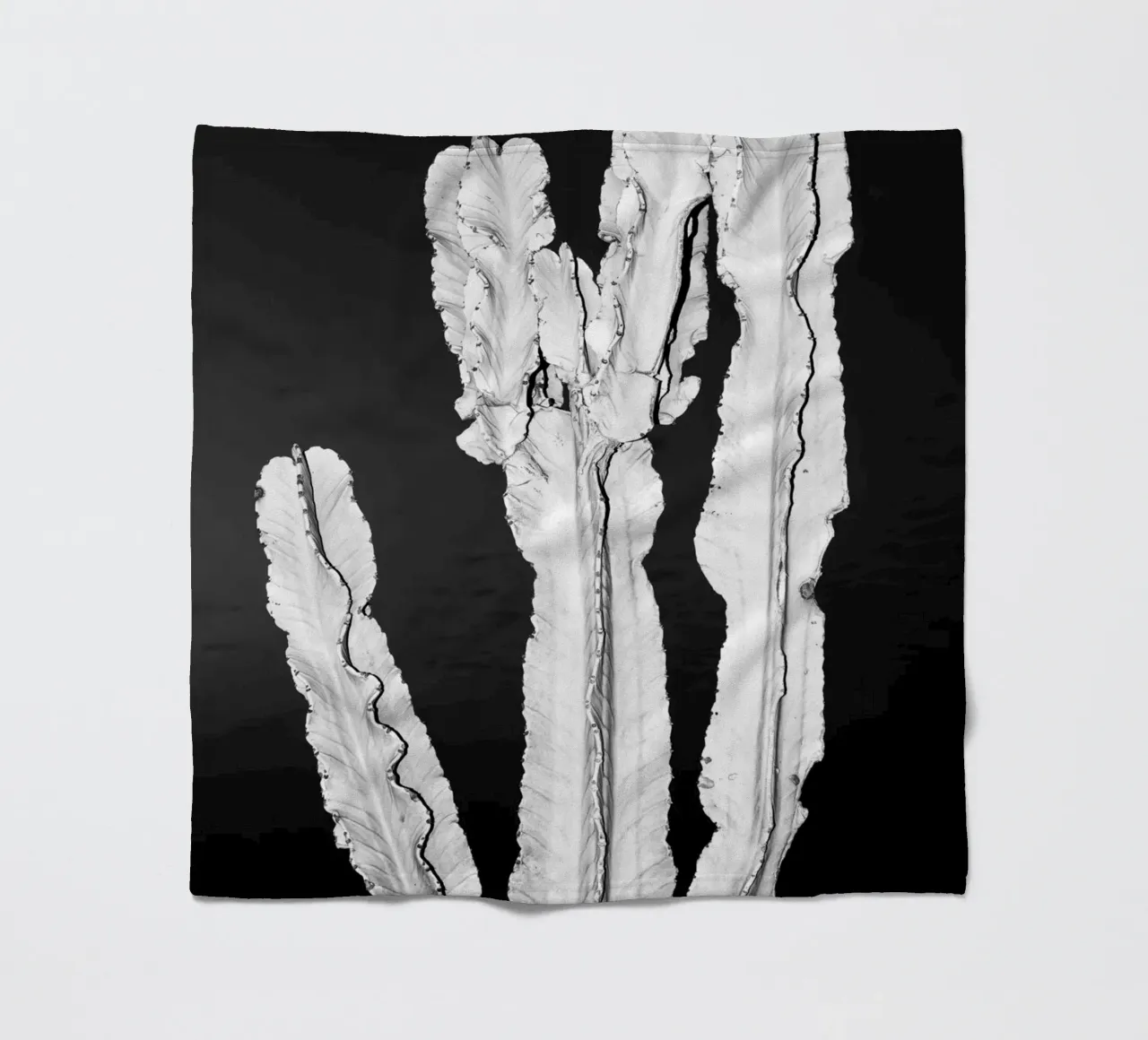 Cactus coperta in pile da rafael campezato