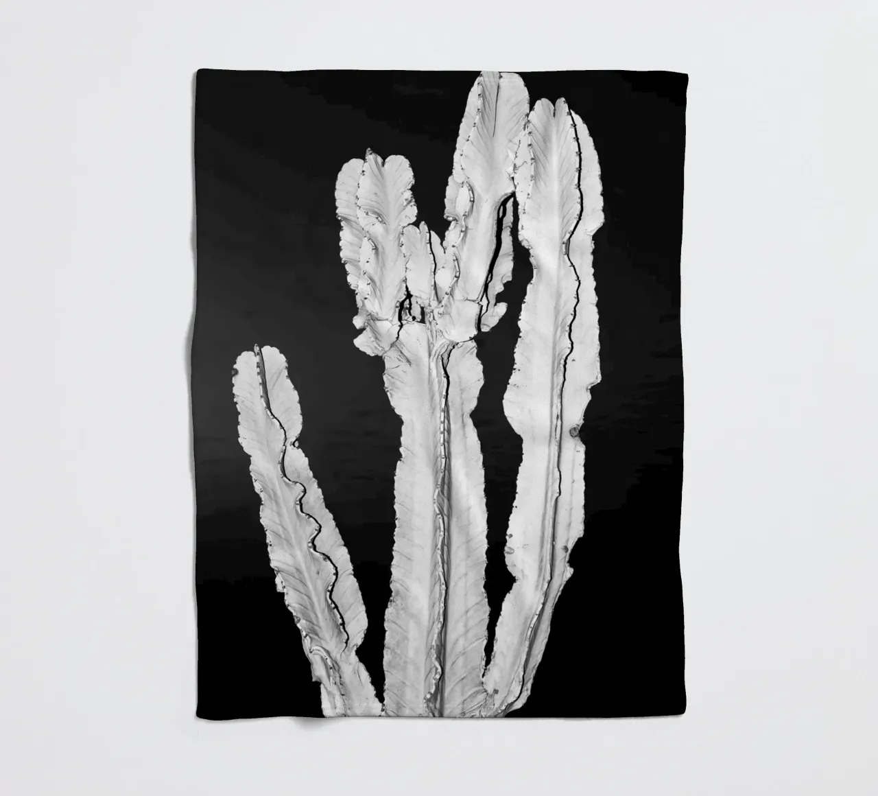 Cactus coperta in pile da rafael campezato