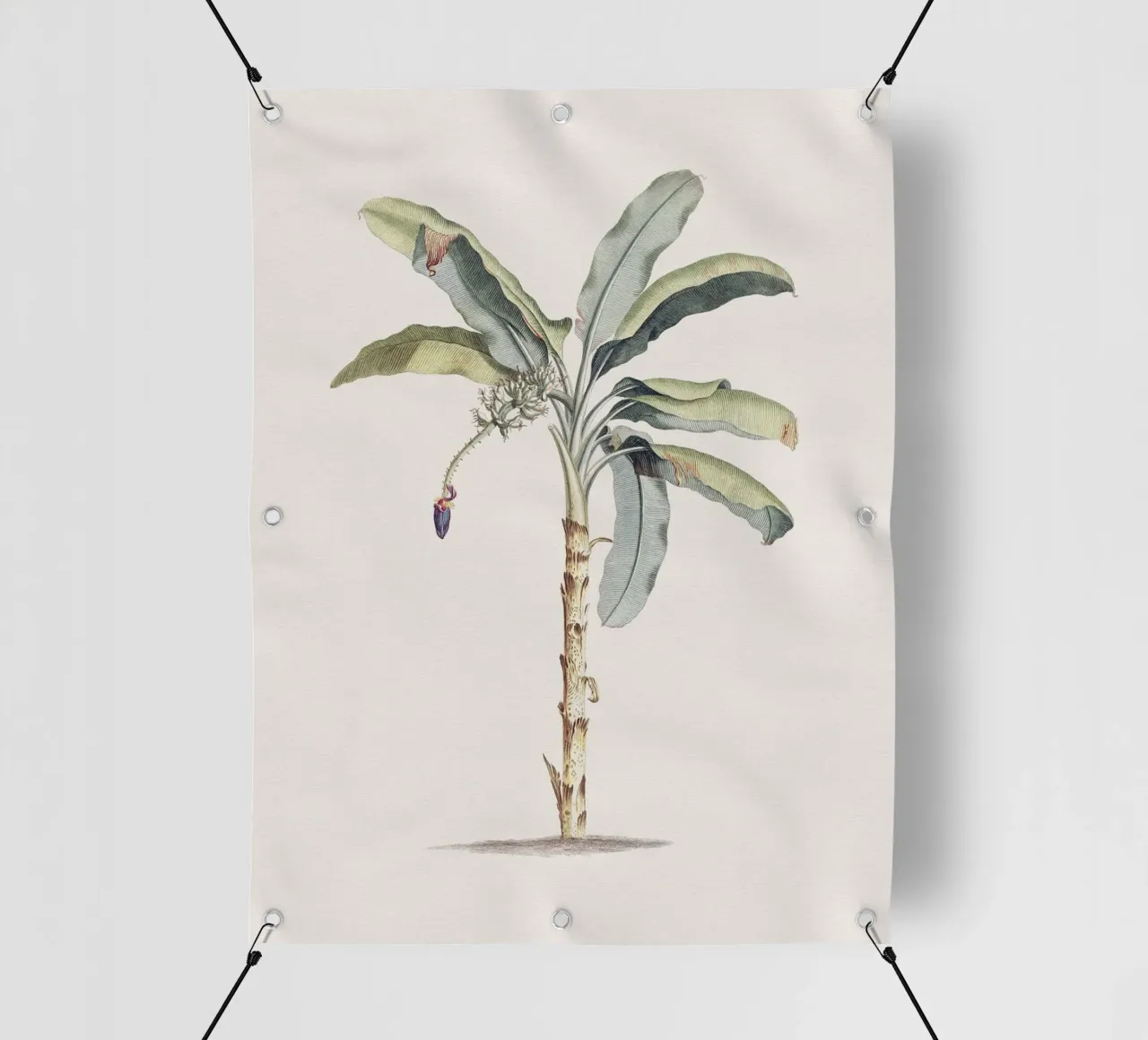 Banana Tree no. 1 telo in pvc da apoloprints