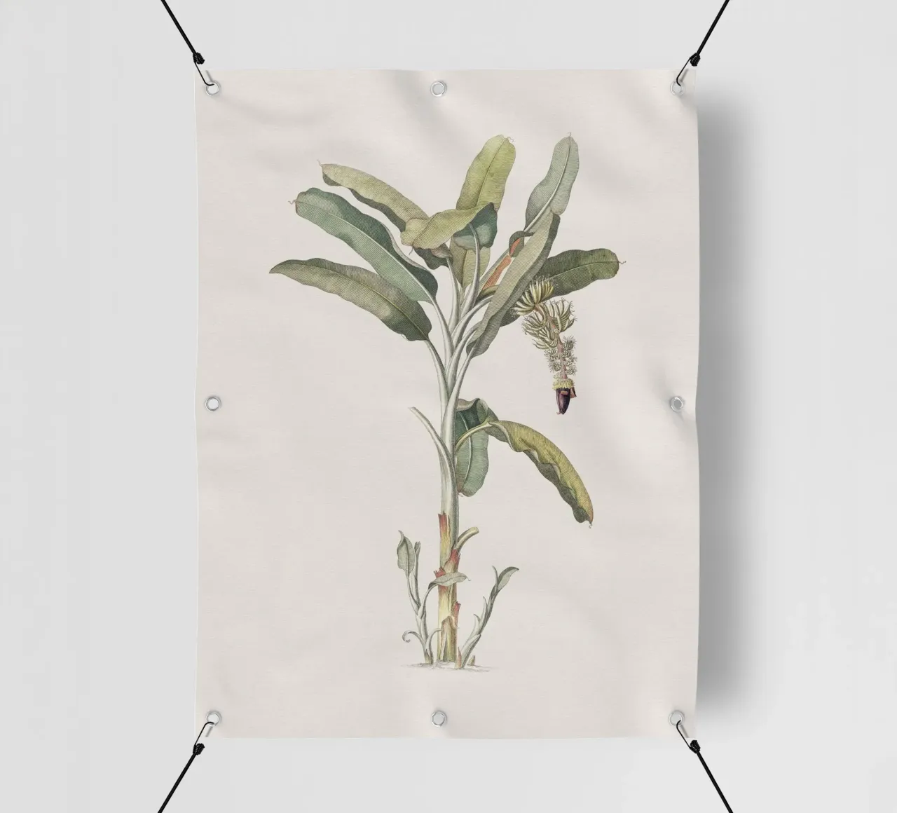 Banana Tree no. 2 telo in pvc da apoloprints