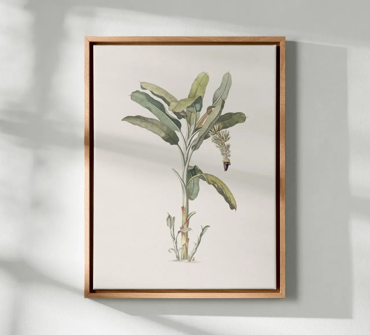 Banana Tree no. 2 canvas van apoloprints