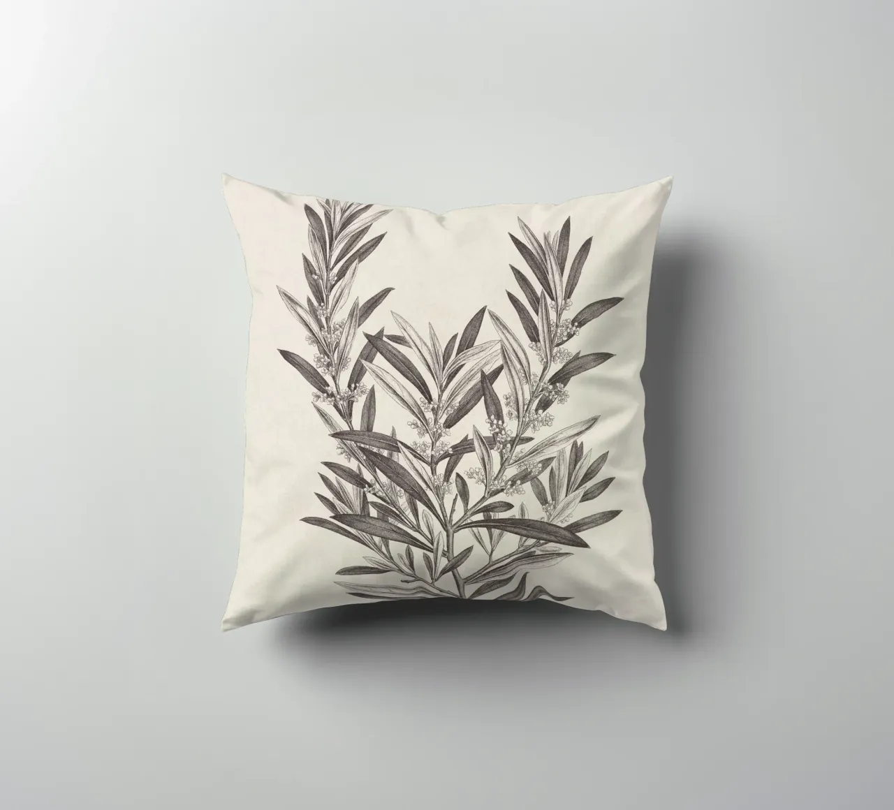 Olive Branch Sketch no. 4 cuscino da apoloprints