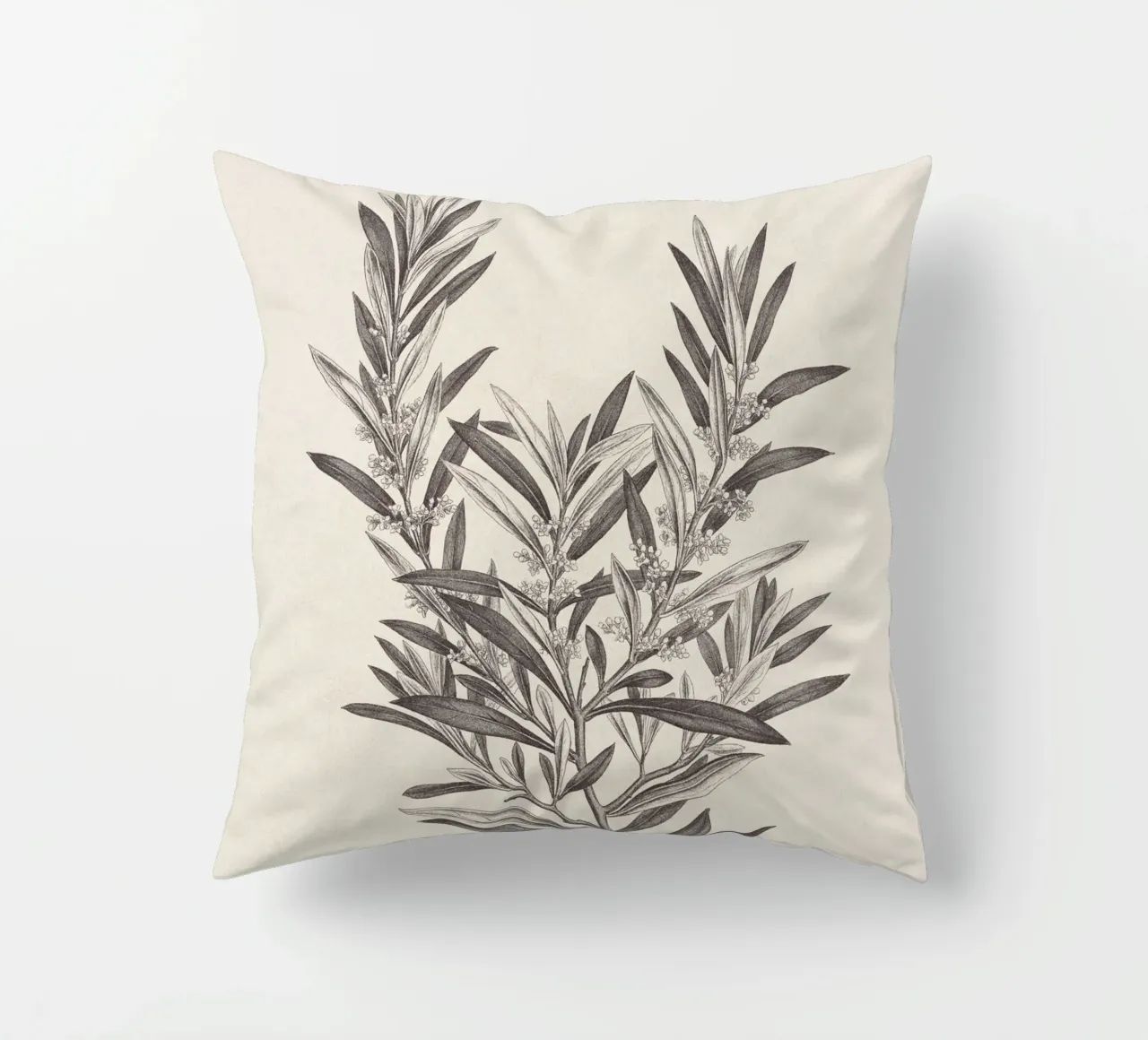 Olive Branch Sketch no. 4 cuscino da apoloprints