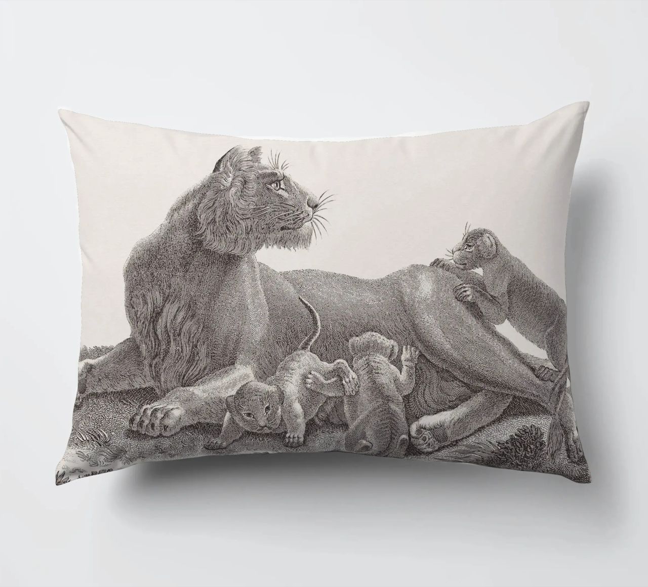 Lioness and whelps sketch cuscino da apoloprints