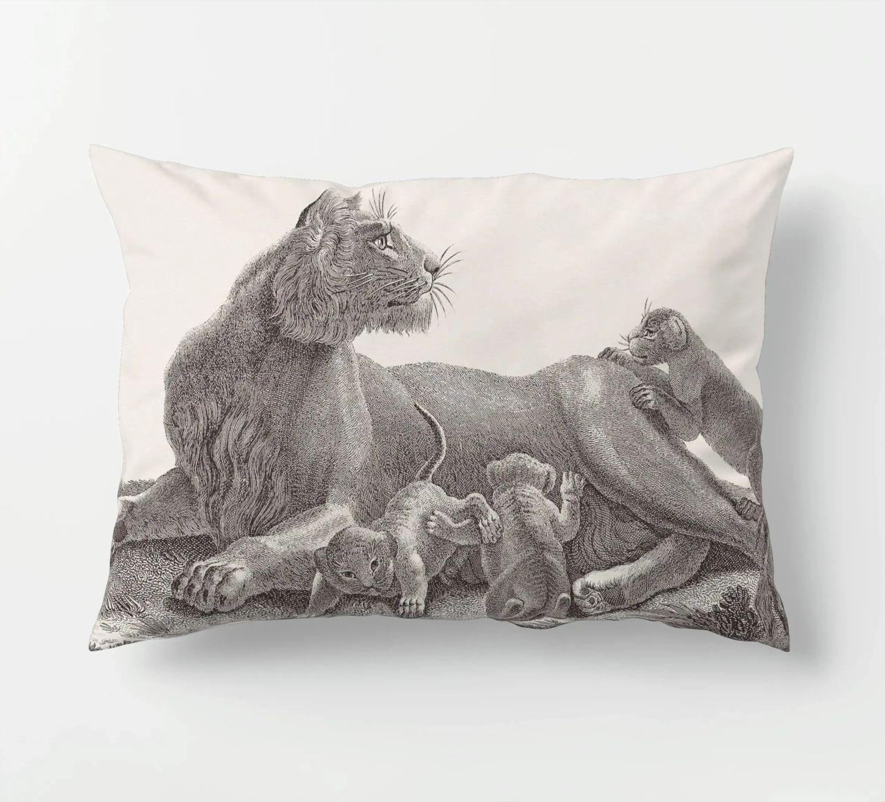 Lioness and whelps sketch cuscino da apoloprints