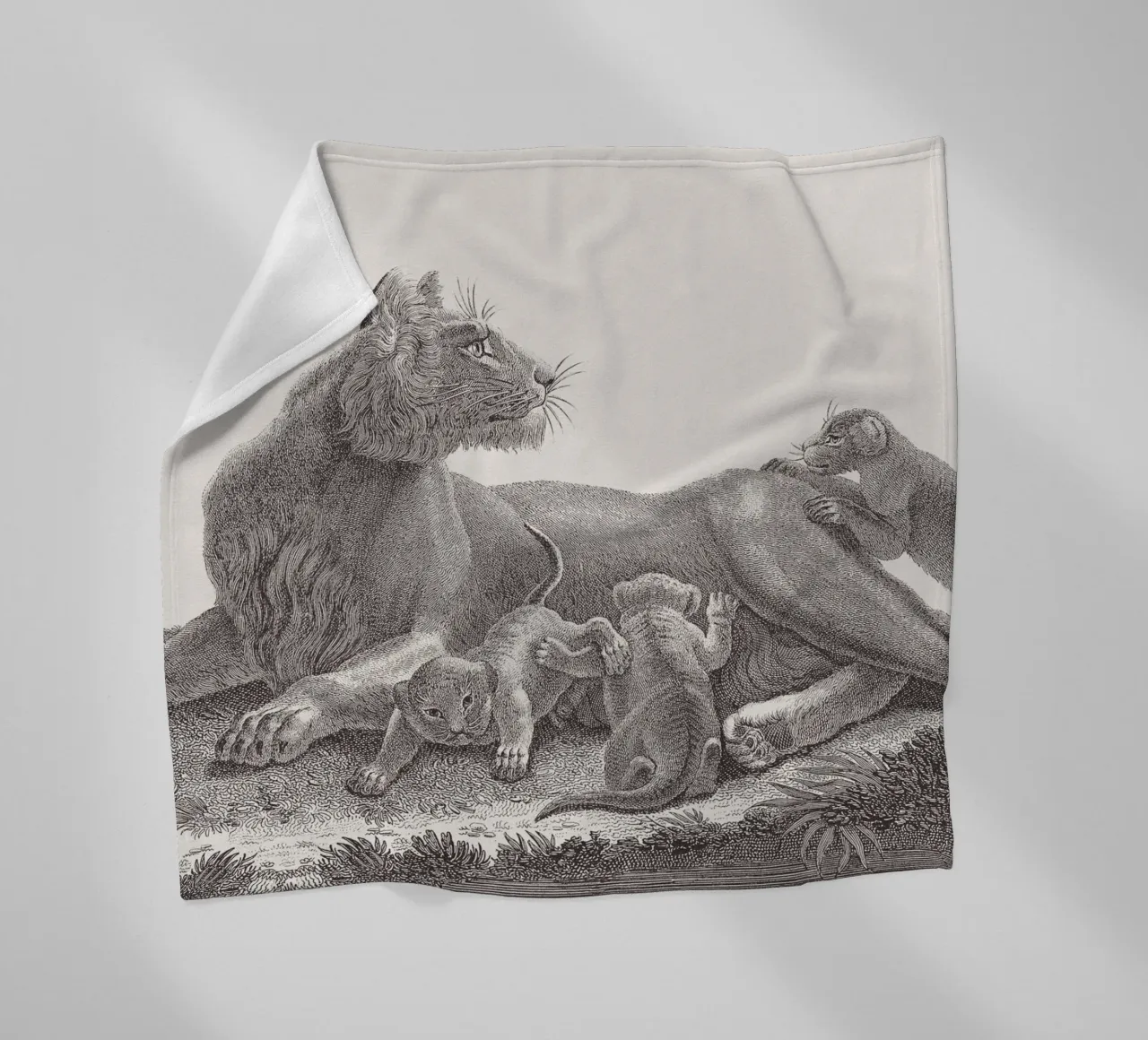 Lioness and whelps sketch coperta in pile da apoloprints
