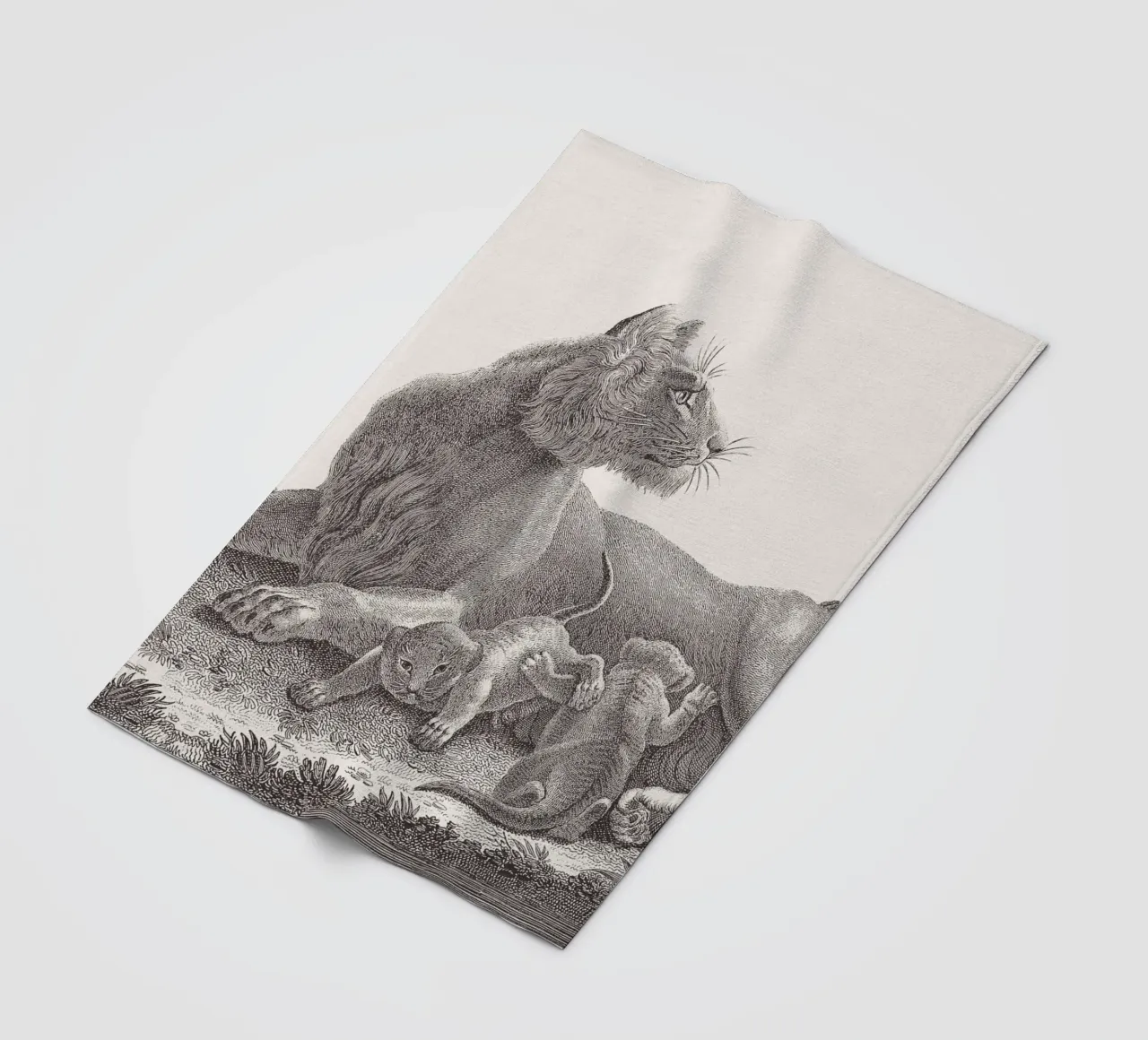 Lioness and whelps sketch coperta in pile da apoloprints