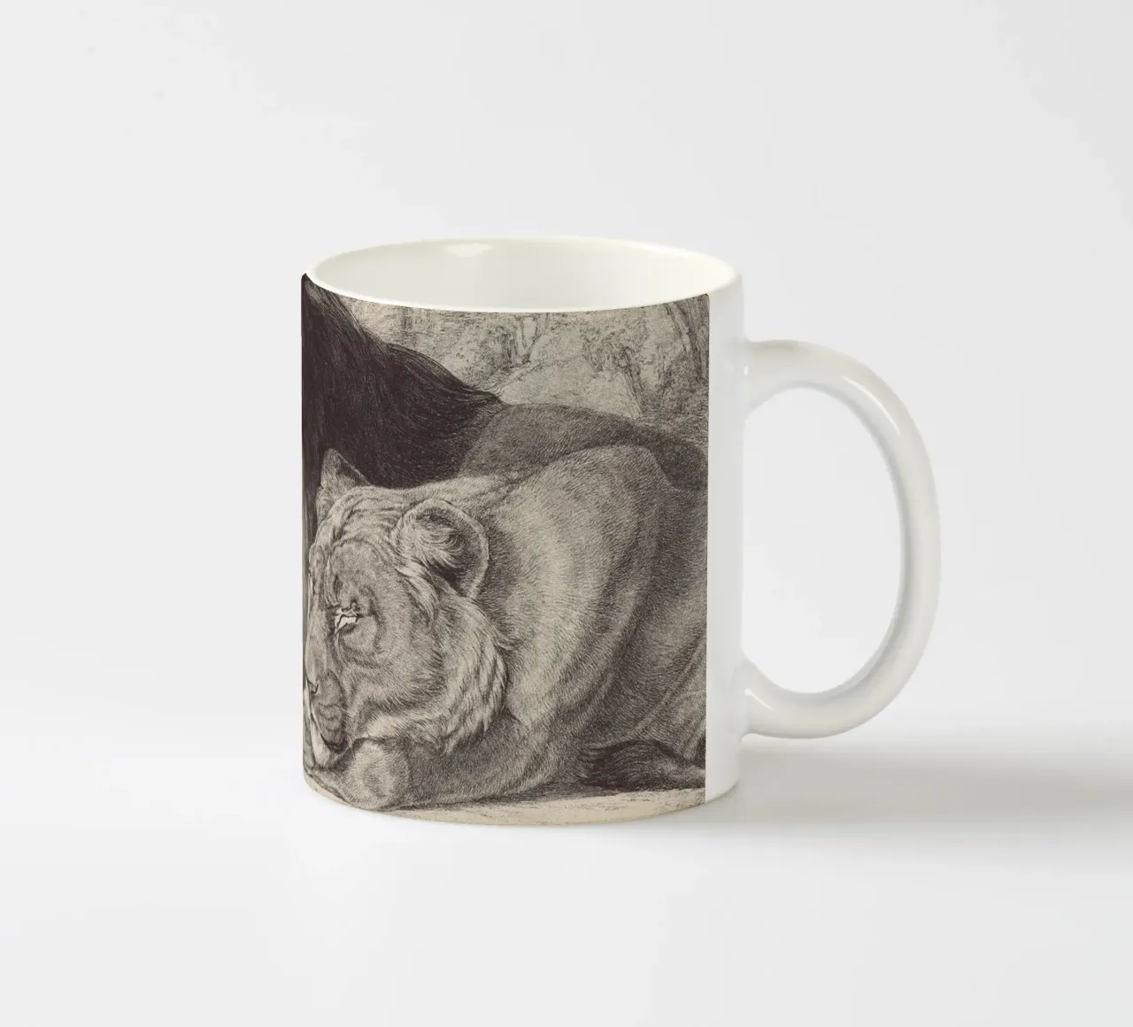 Lion and lioness sleeping tazza in ceramica da apoloprints